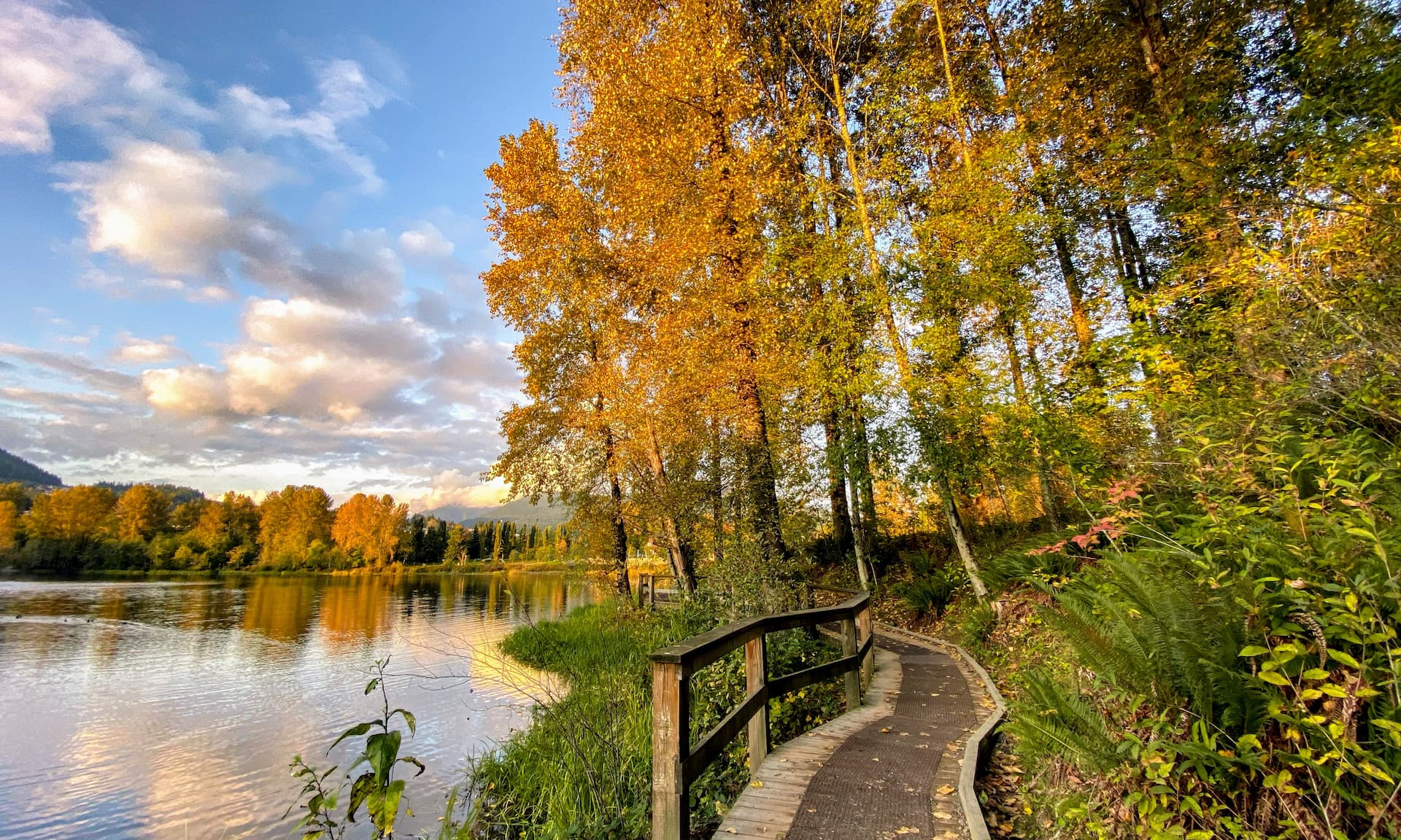 Coquitlam, Canada holiday rentals—Airbnb
