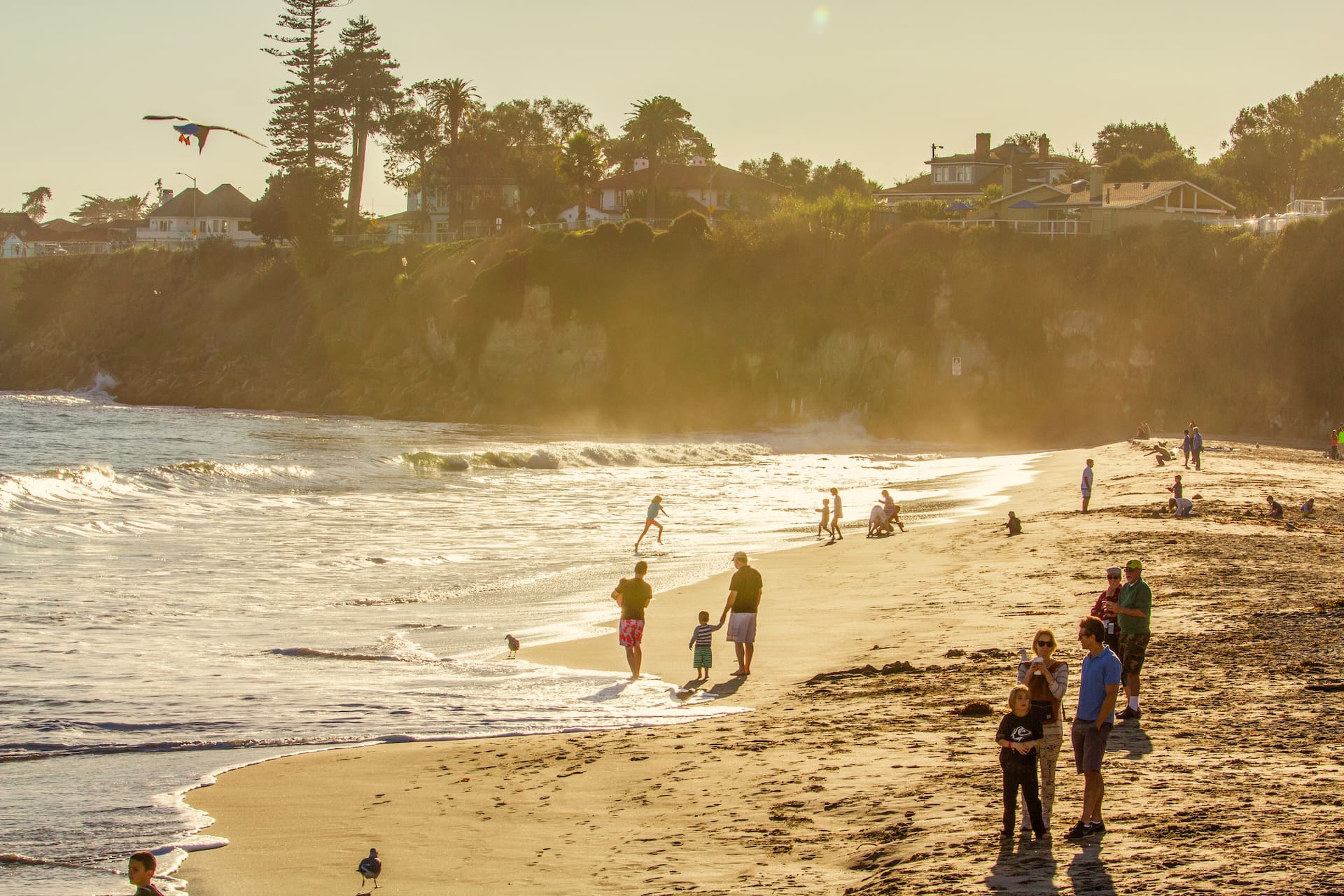 House Rent Background Santa Cruz Beach House Vacation Rentals | Airbnb