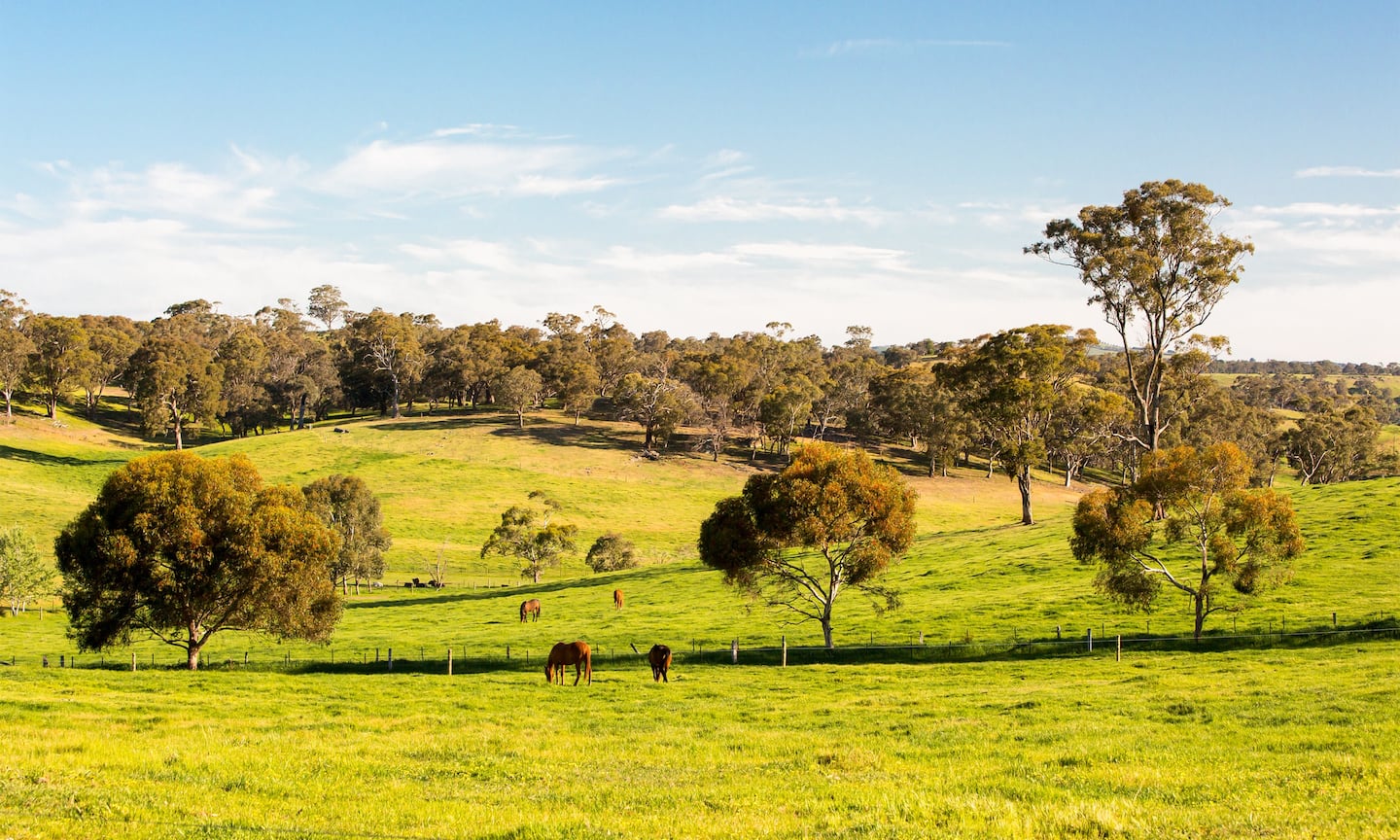 House Rent Background Maldon House holiday rentals | Airbnb