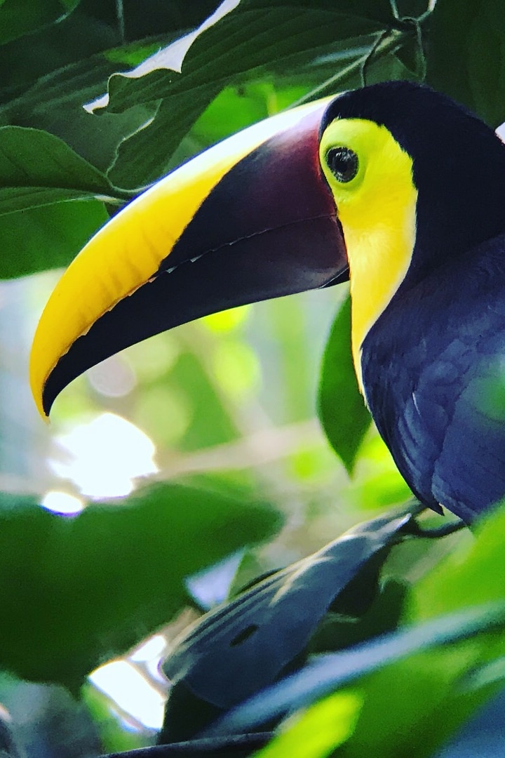 Unveil our best kept secrets