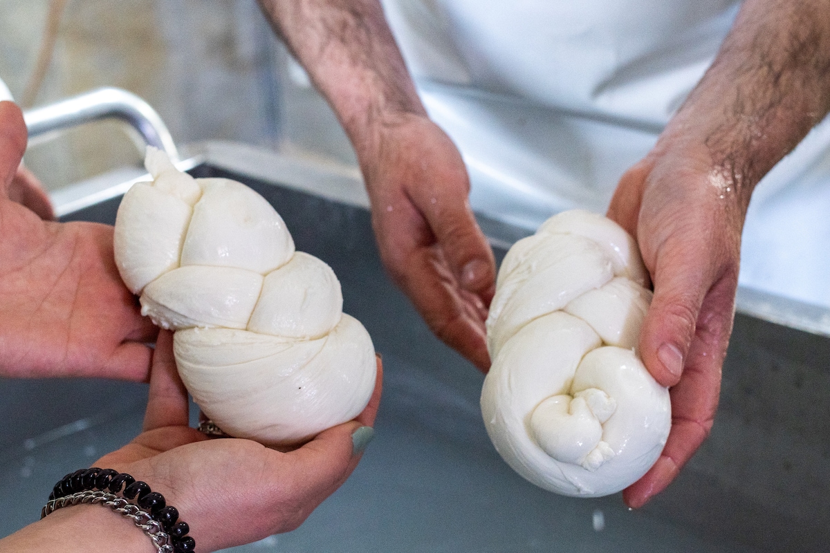 Mozzarella experience guided by a cheesemaker