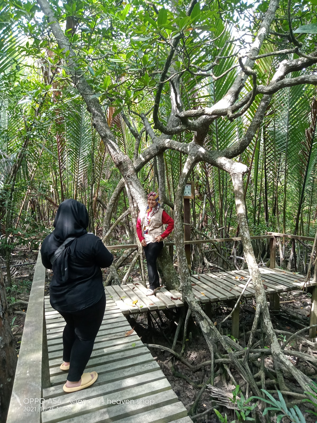 放松身心，恢复活力，探索红树林湿地