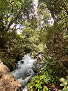 Observación de Aves en Parque Nacional