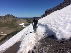 跟随向导徒步旅行，见证雷尼尔山的美丽。