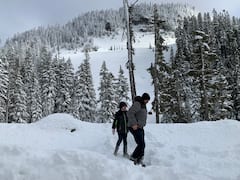 跟随向导徒步旅行，见证雷尼尔山的美丽。