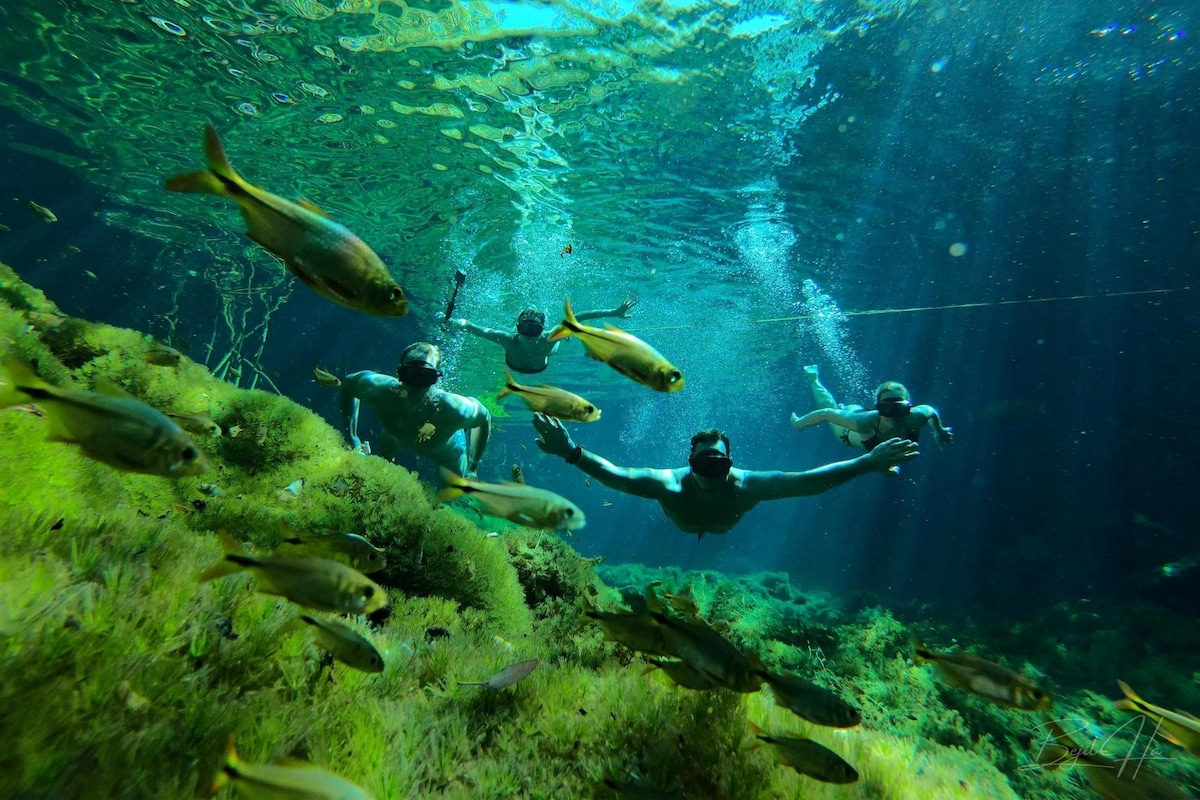 Snorkeling in an open cenote and a cave cenote