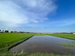 Recorre el campo en bicicleta