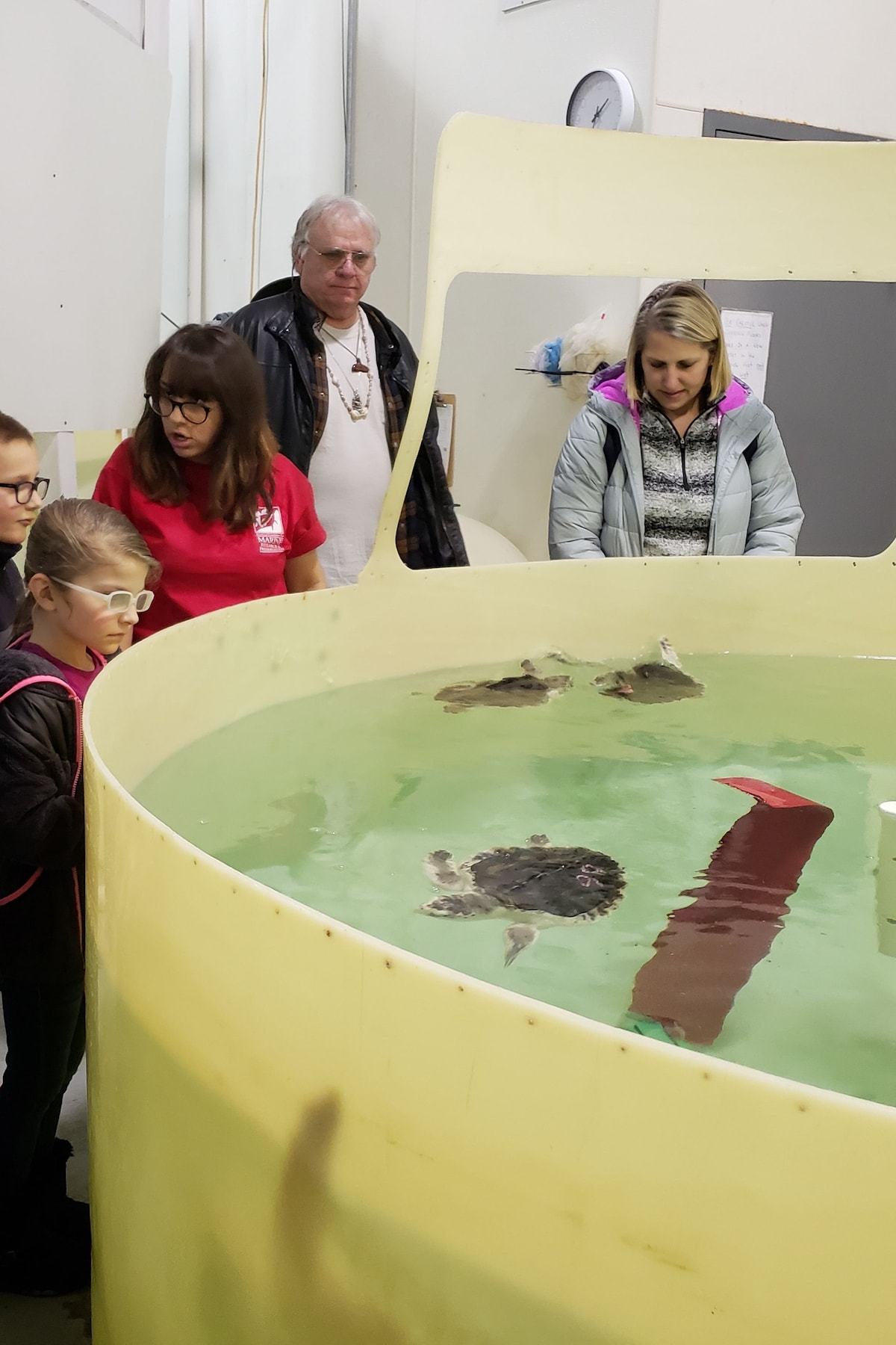 Explore marine rescue hospital