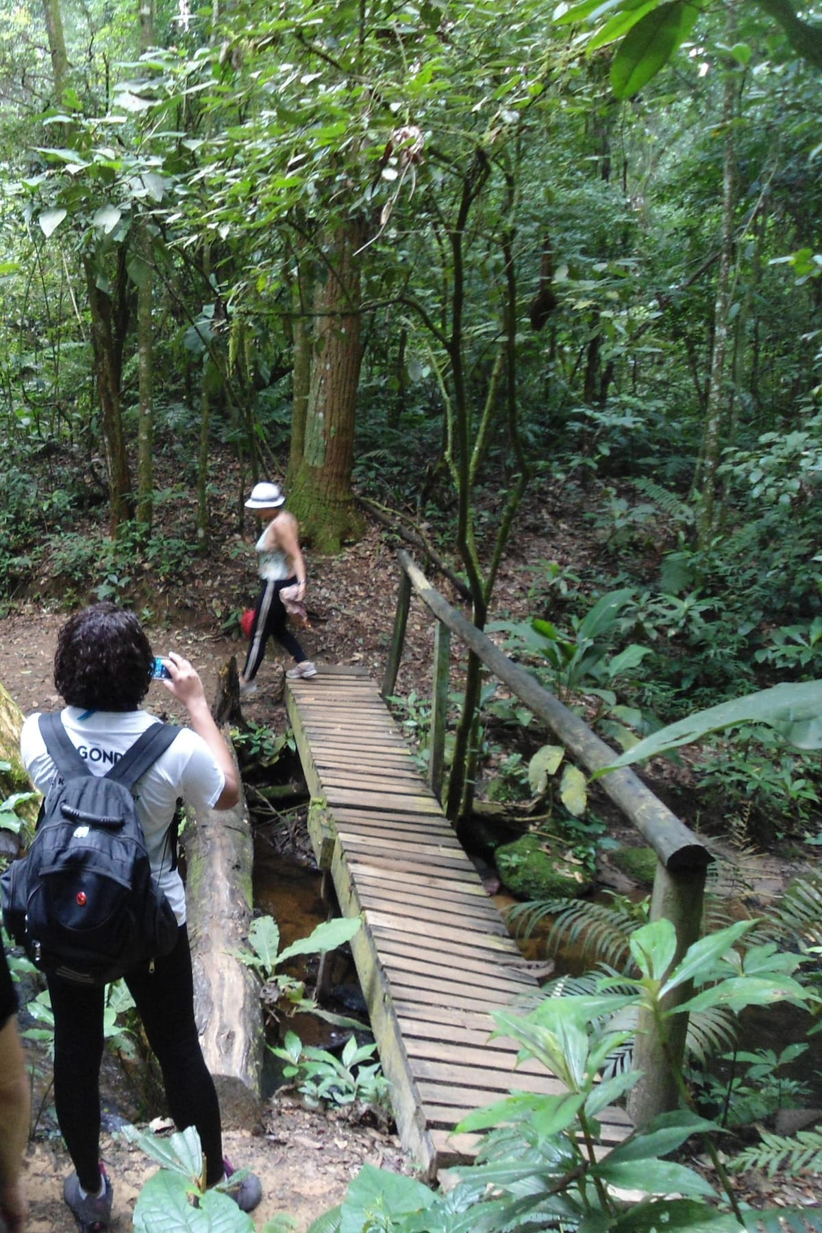 Larezzo Pizzaria in Região Imediata de São Paulo, Brazil - reviews,open  hours,photo spots, things to do | WanderBoat AI Trip Planner