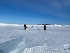 Snehulky v provinčnom parku Awenda v Georgian Bay