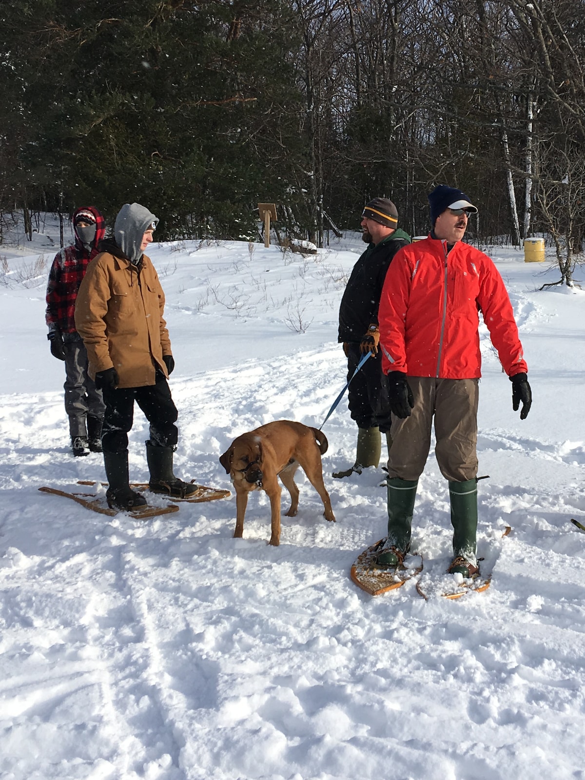 Snowshoe in Awenda Provincial Park on Georgian Bay