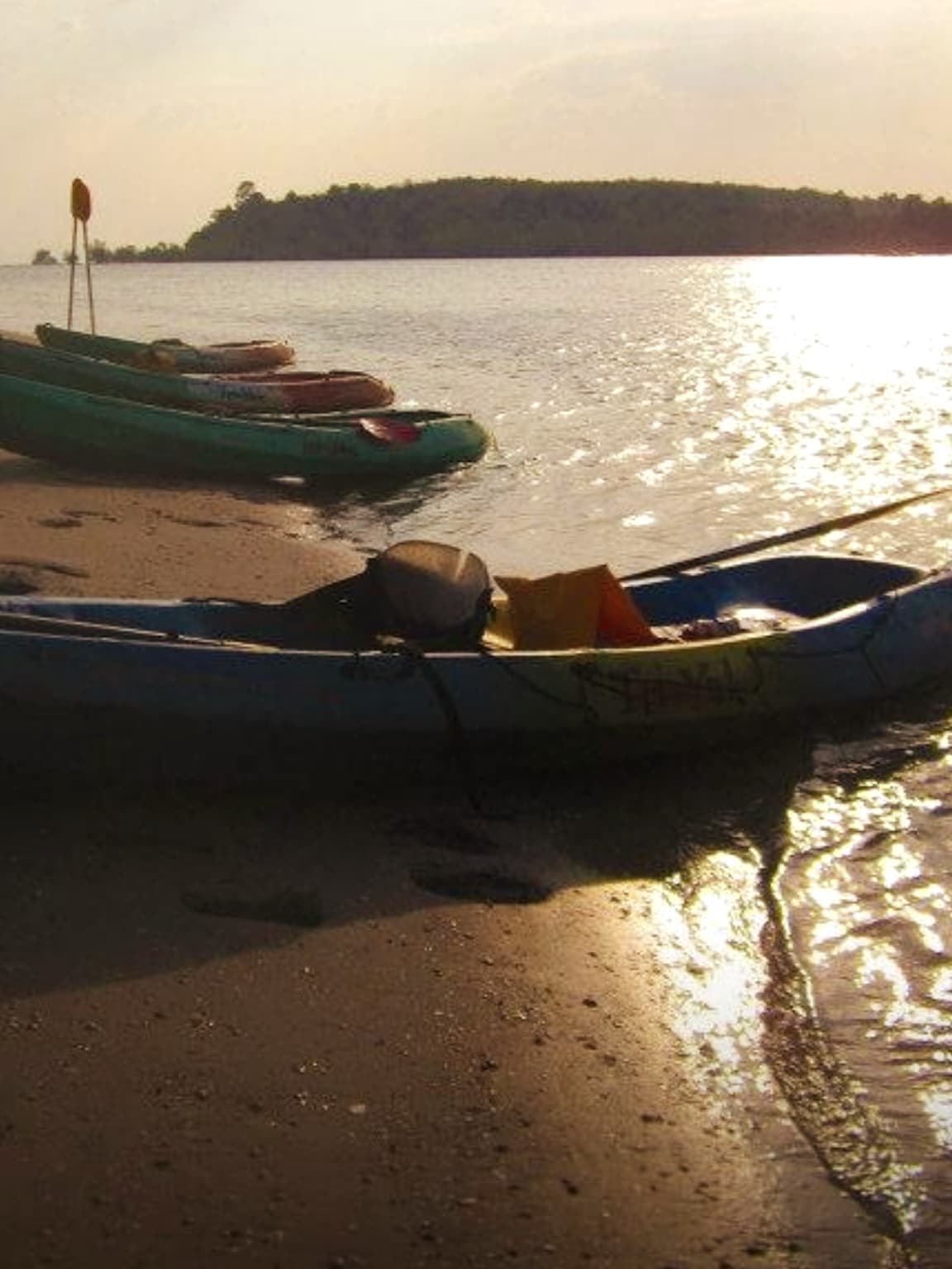 Kayak dans la mangrove au coucher du soleil