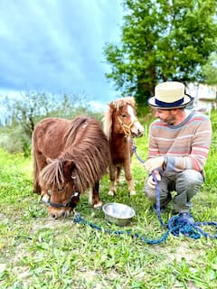 在托斯卡纳有机农场体验葡萄酒、意大利面和葡萄园