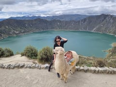 基洛托阿火山口湖探险之旅
