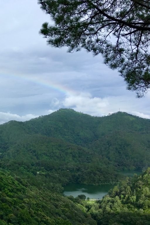 Bird Watching, Looking out for Himalayan Birds