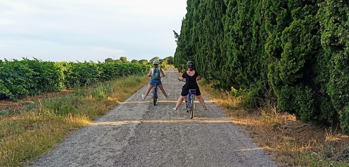 Entdecken Sie die kleine Camargue mit dem E-Bike