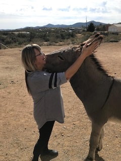 Diviértete y abraza a burros del desierto