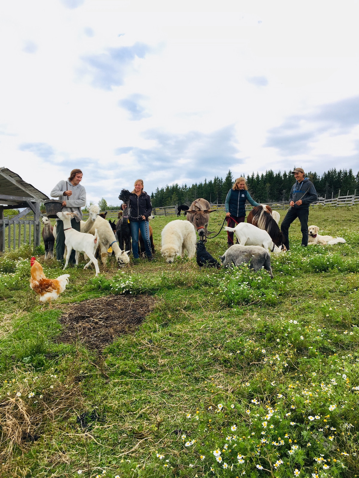 Guided tour of our shelter and educational farm