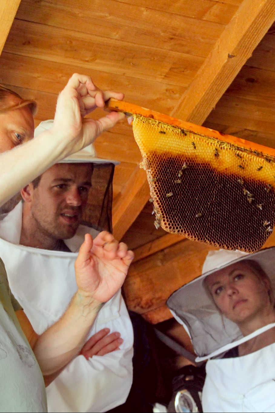 Touched by the bees