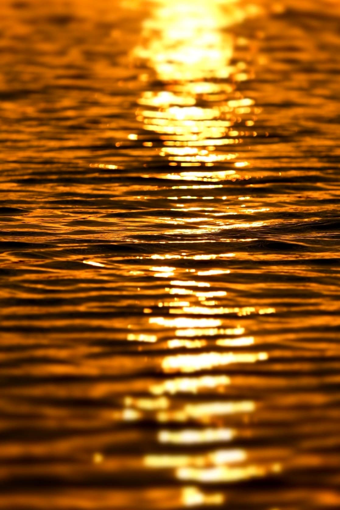 Love Afloat-Romantic sunset kayak n Bird watching