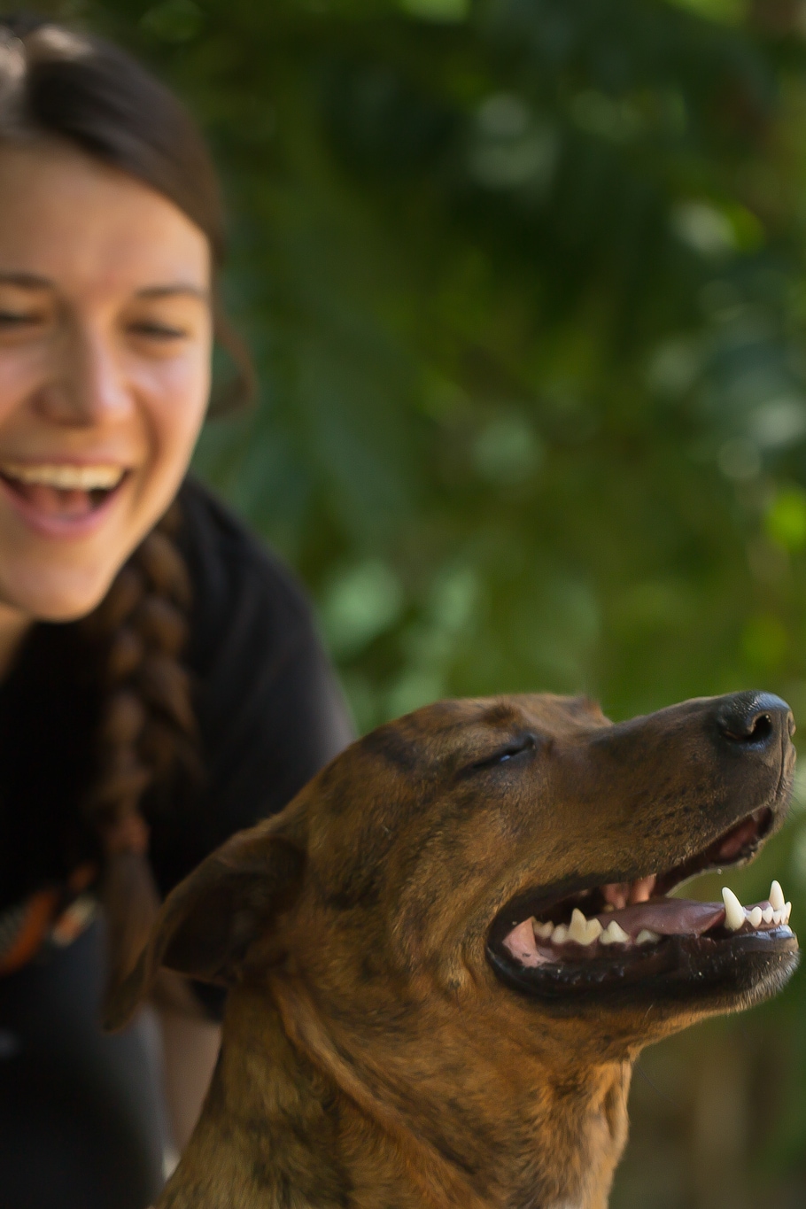 Support rescued dogs