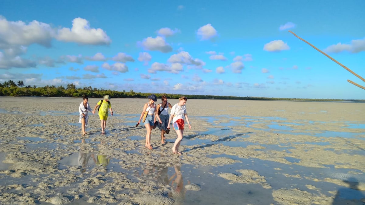 Hike and ride a canoe through Mida Creek