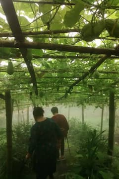 Caminata a una granja del pueblo a través de senderos