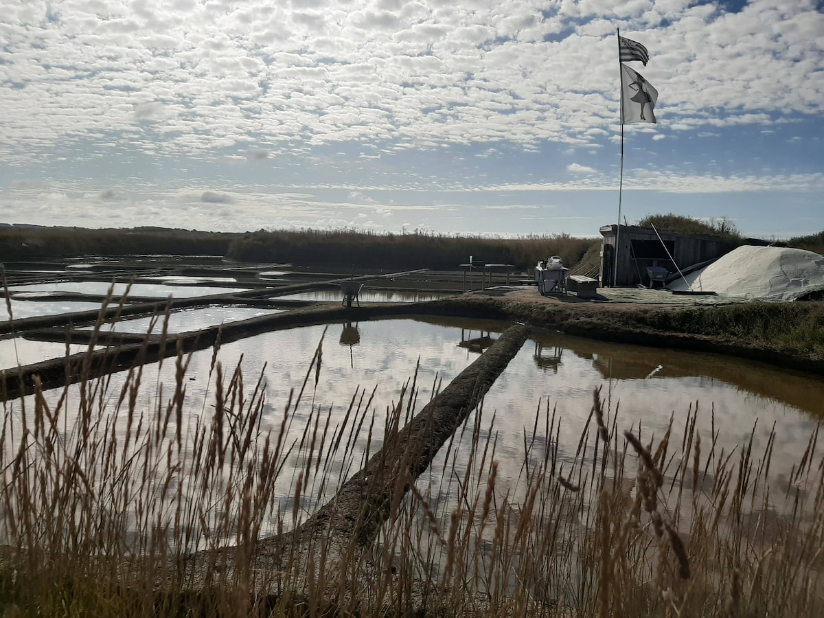 Посетете солените блата Guérande