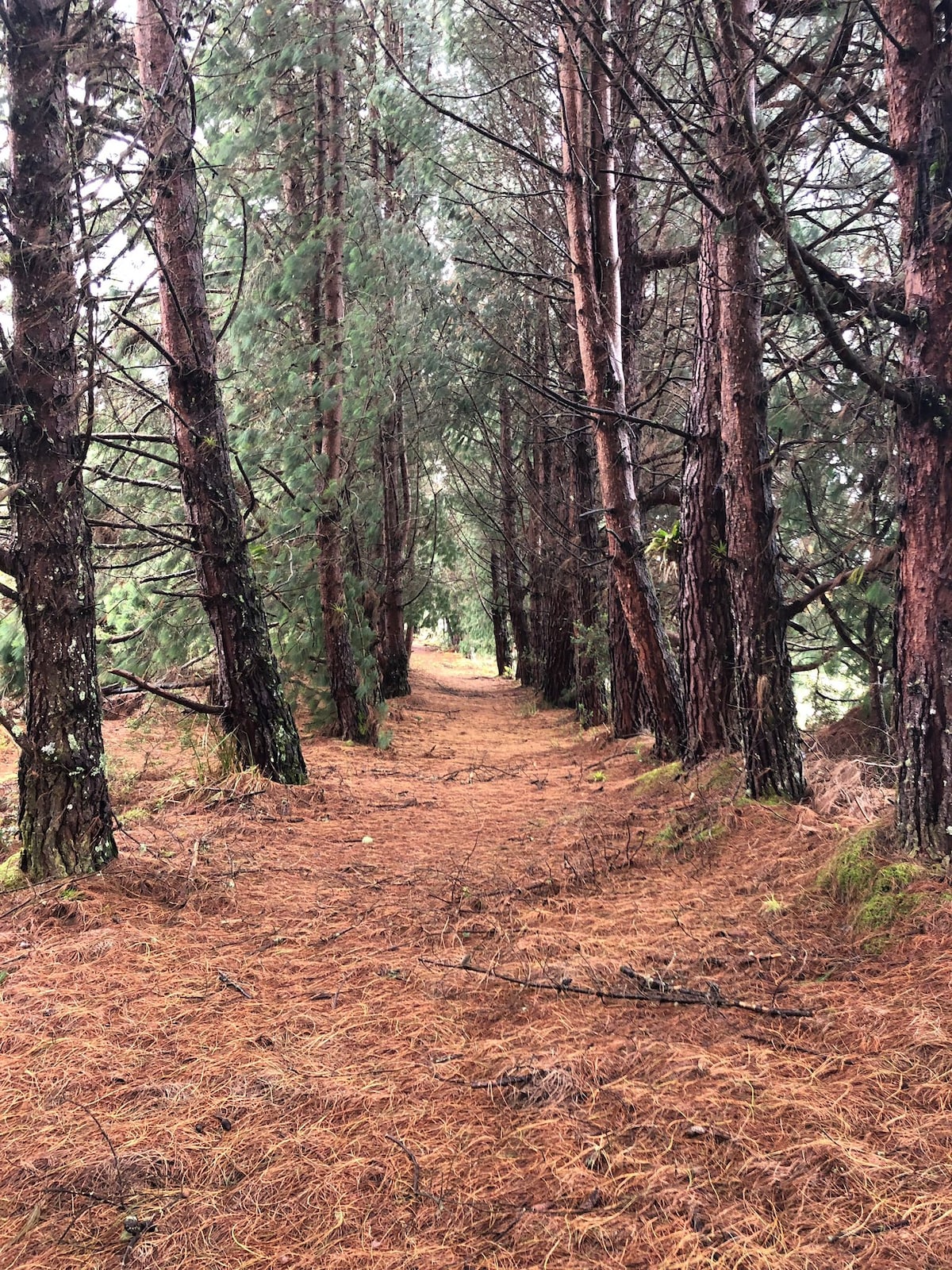 Escape to a farm and nature in an all-day outing