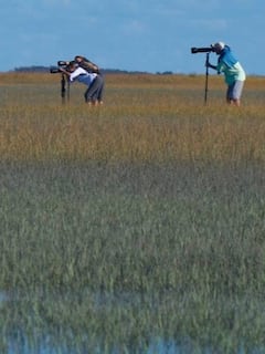 Rachel Carson Reserve's Insider Guide