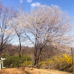 Delve into Ansan as you hike with a local