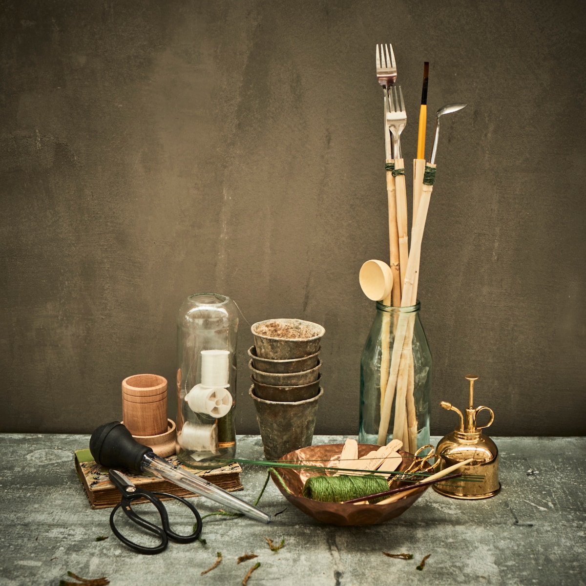 Terrarium Design School