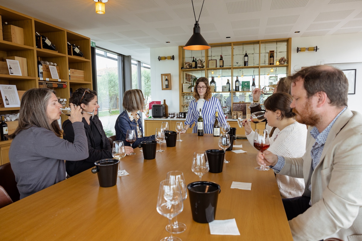 Bordeaux Full Day wine tour with picnic lunch