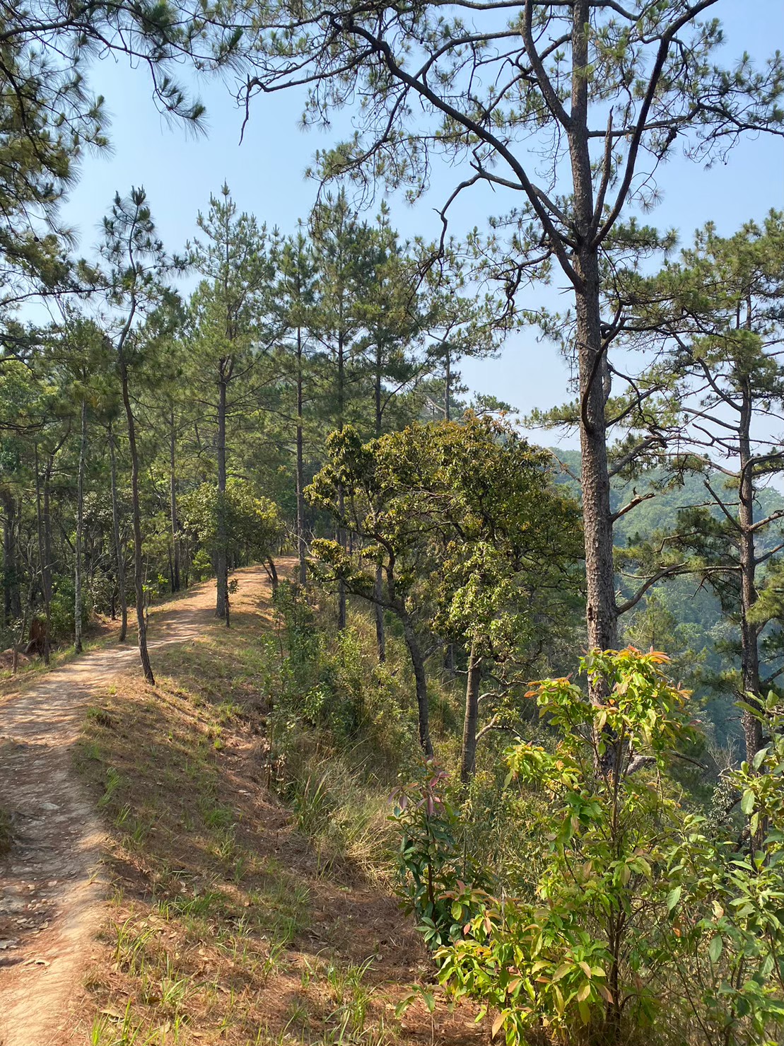 Chiangmai summit hike