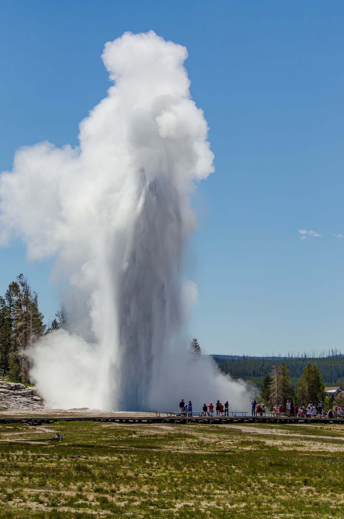 Explorez Old Faithful