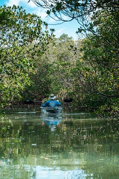พายเรือคายัคใสในอินเดียนริเวอร์ลากูน