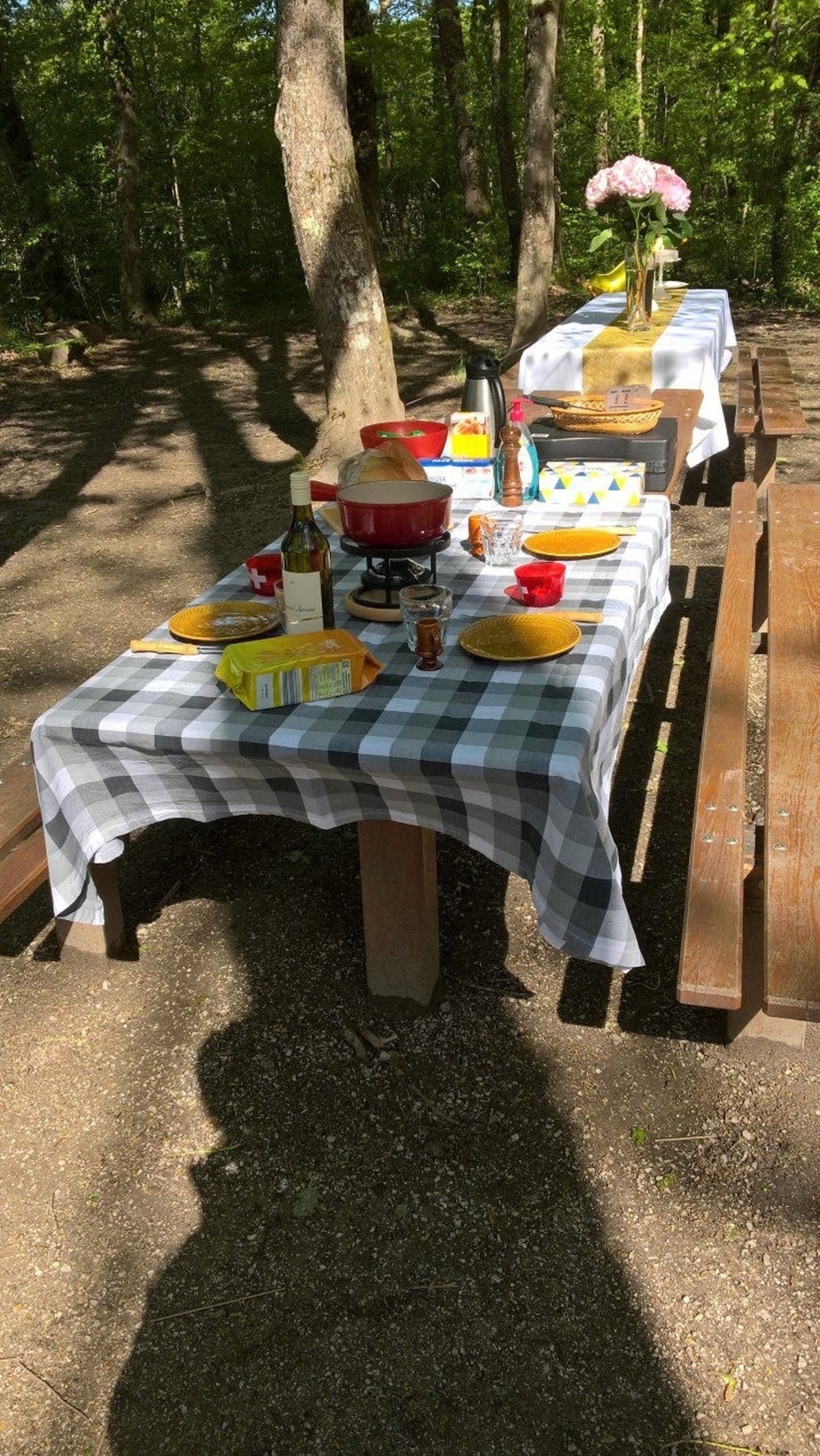 Learn and taste traditional Swiss fondue in nature