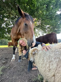 Adventures with miniature horse Basil