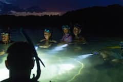 Discover Hawaii’s Nocturnal Marine Life at Night