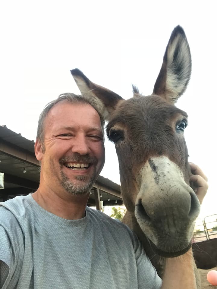Embrace the unconditional love of animals