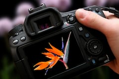 Aprende fotografía al aire libre en Essen con un profesional