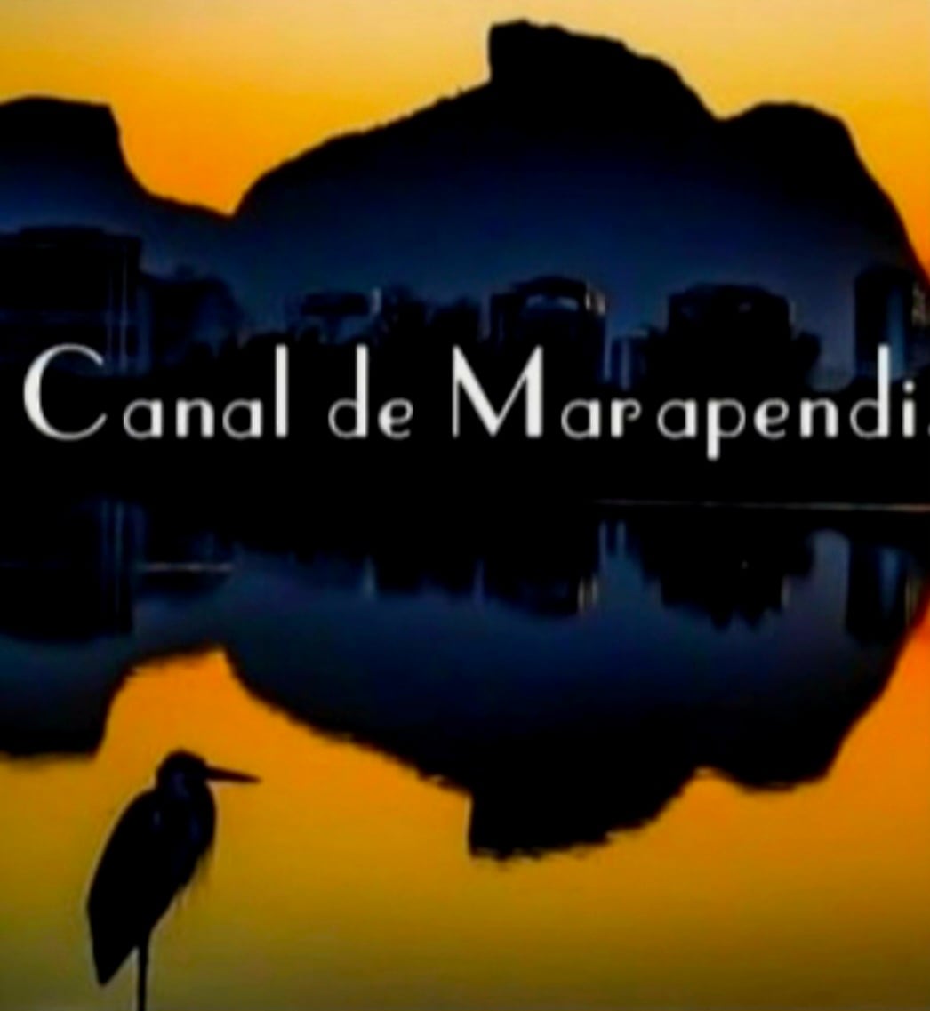 Sail around the Venice of Rio and its wildlife