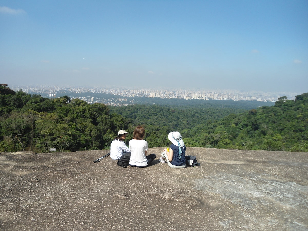 在城市森林中漫步，欣赏圣保罗美景