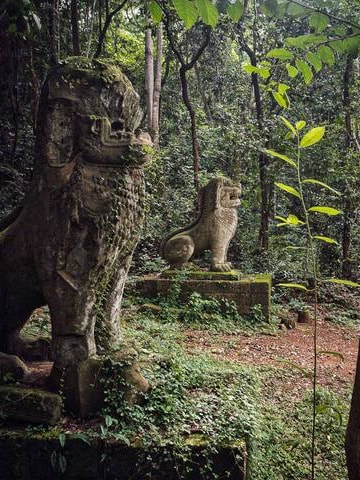 Jungle adventure: a nature and wildlife walk