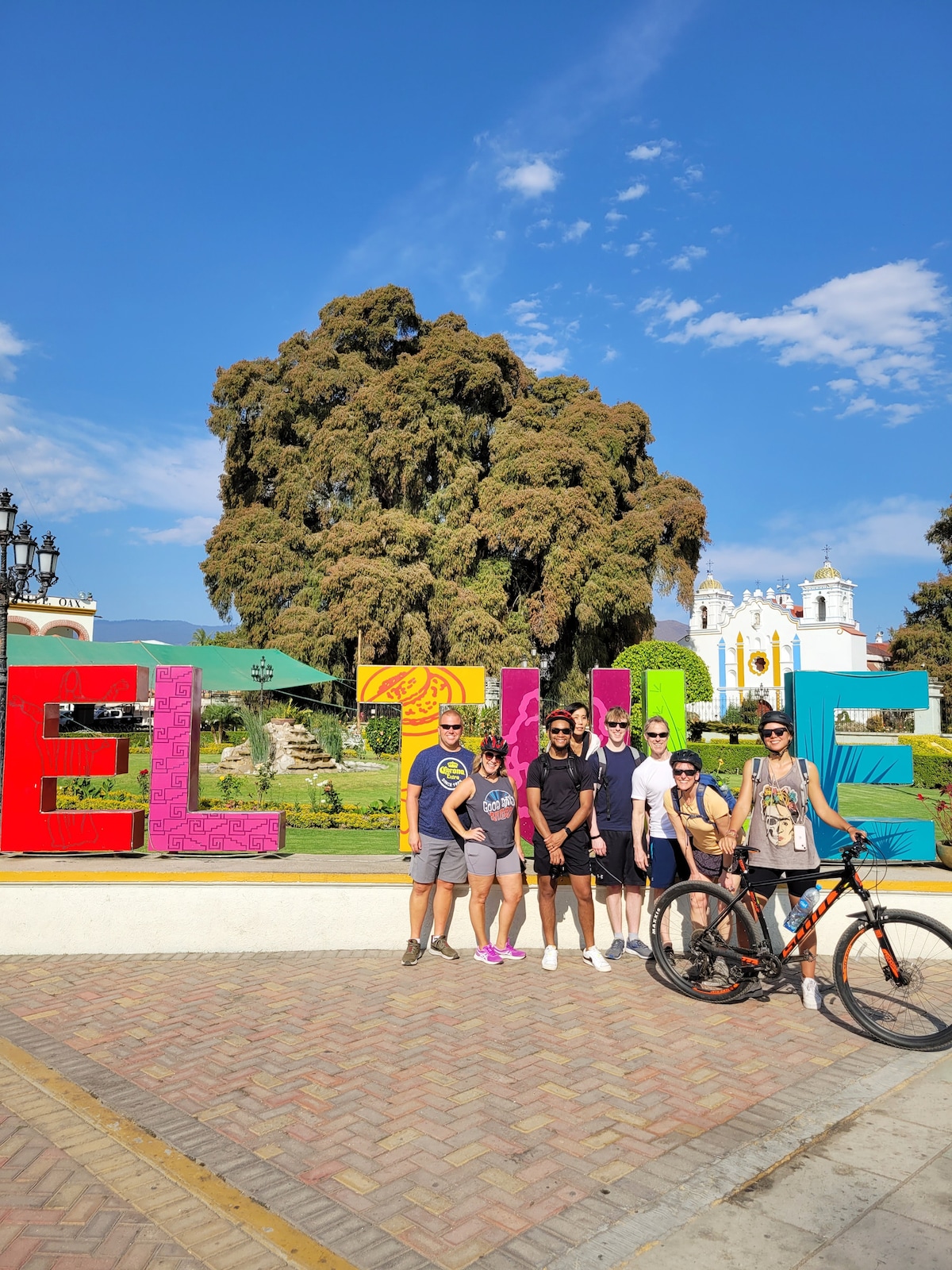 Bike to the ancient Tule tree