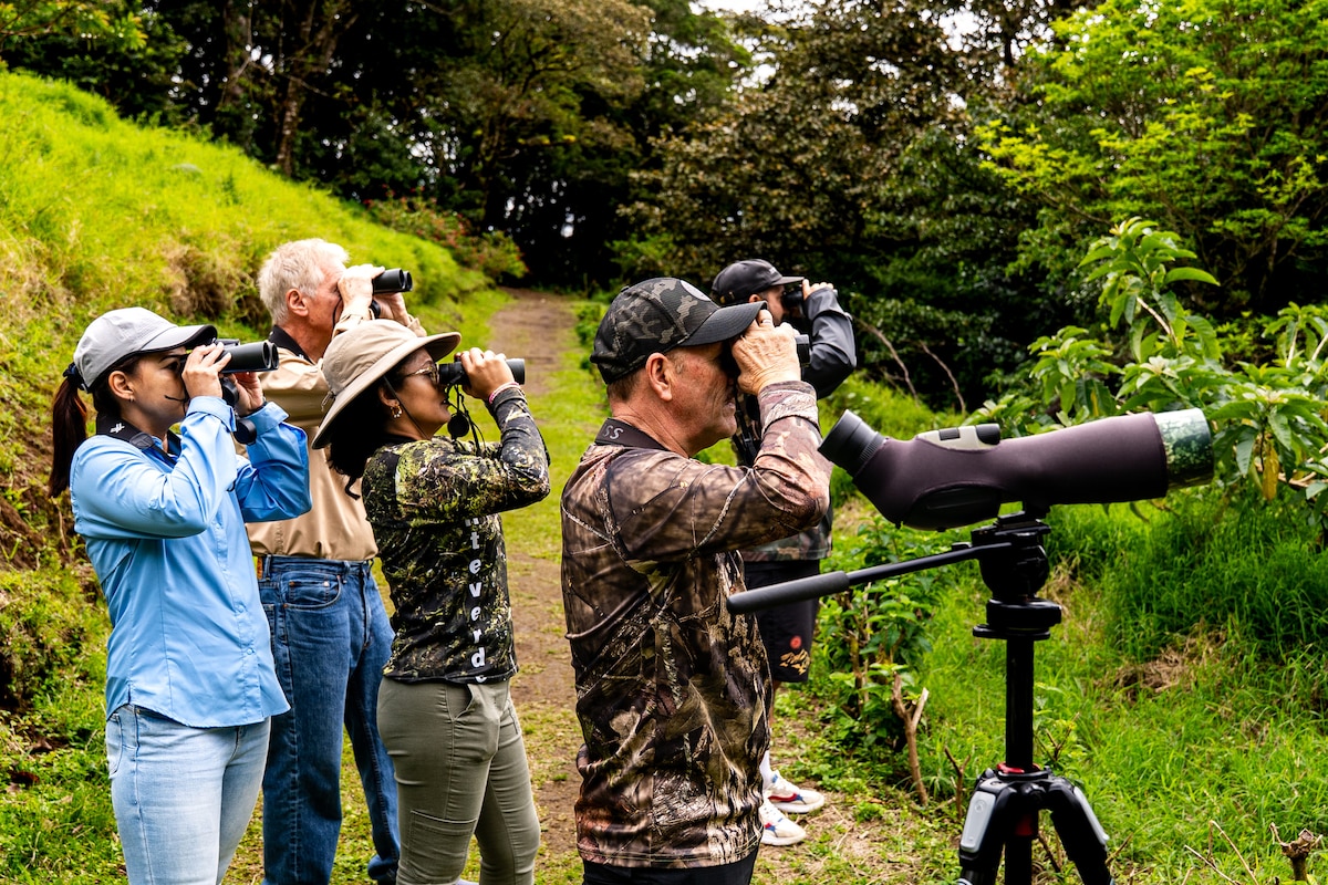 Go birdwatching with an experienced guide