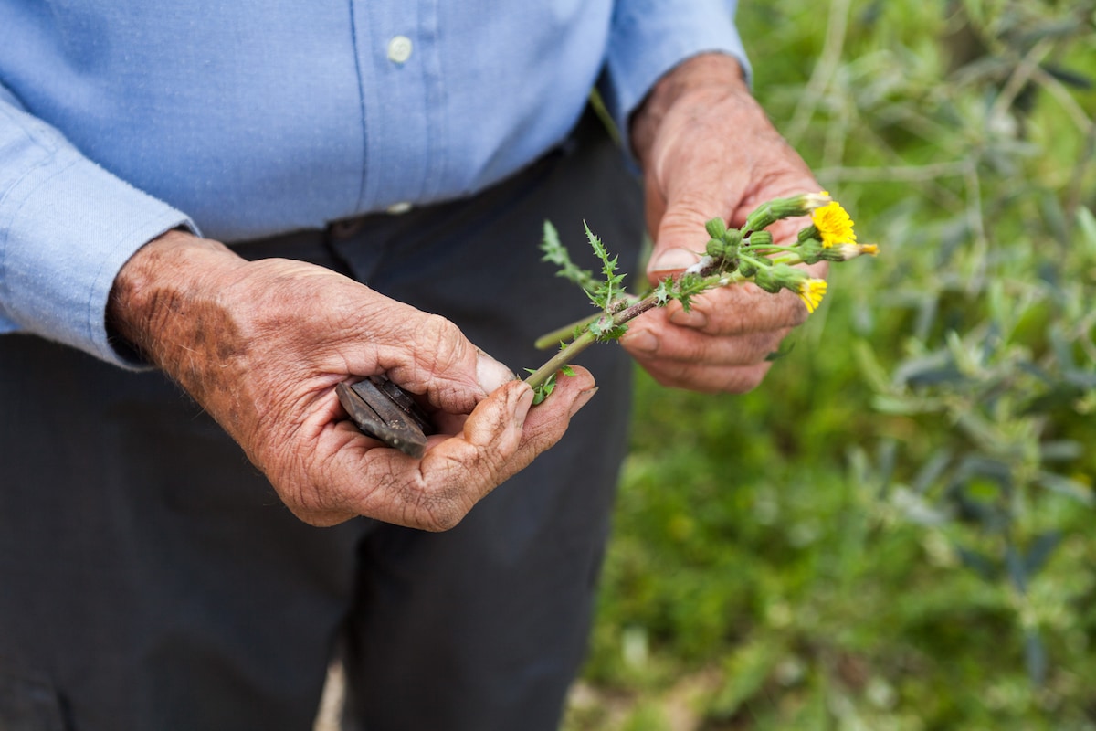 Visit a 16th-century boutique winery