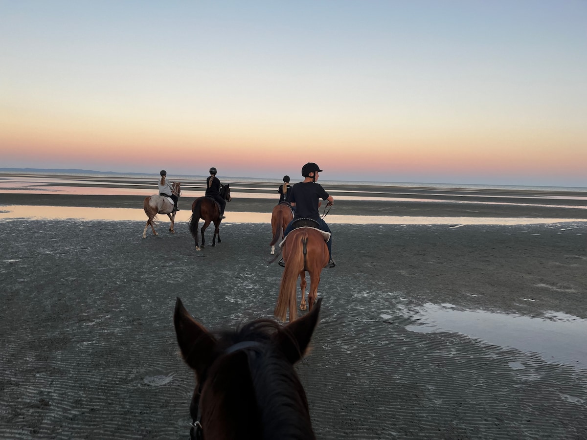 Horse Riding Beachmere