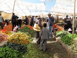 Half Day Guided Trek in Ourika Valley