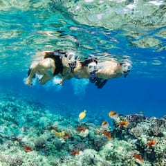Explore Molokini's Reefs